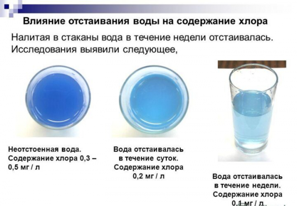 10 советов, какую воду для полива комнатных цветов использовать