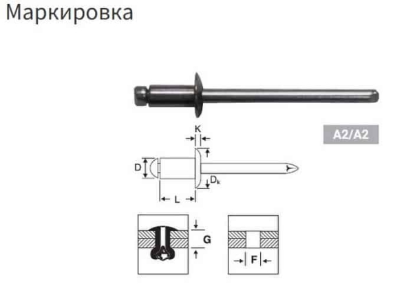 Заклепка: виды, размеры и применение